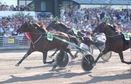 From Above-ein neuer star?