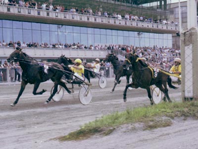 Einlauf Traberderby 2003