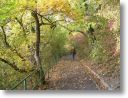 Herbstzauber am Nasenweg