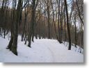 Winterwege