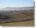 Blick auf Baden im Nebel