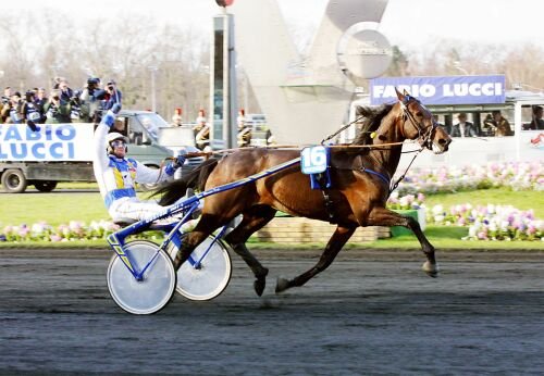 Prix Amerique 2001- Varenne (Giampaolo Minnucci)