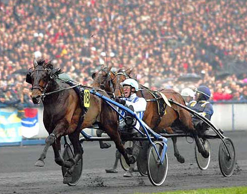 Wir haben sie im Griff!!