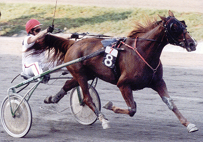 Einlauf -Sieg f�r Fontaine du Poli