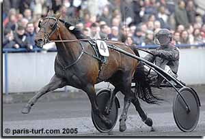 Naglo �ber das Feld