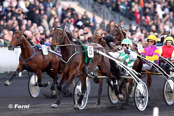Sieg-!!Pierre Levesque  (Nr.1,gelb,lila) schaut sich von hinten locker den Erfolg seines 2.Spitzenpferdes mit Fahrer Pierre Vercruysse  an.
