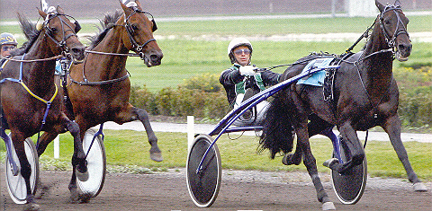 Locker und entspannt nach Hause!