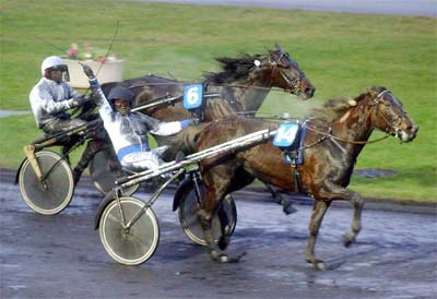 D.Locqueneux ,Hilda Zonett - Triumph und Schlamm 