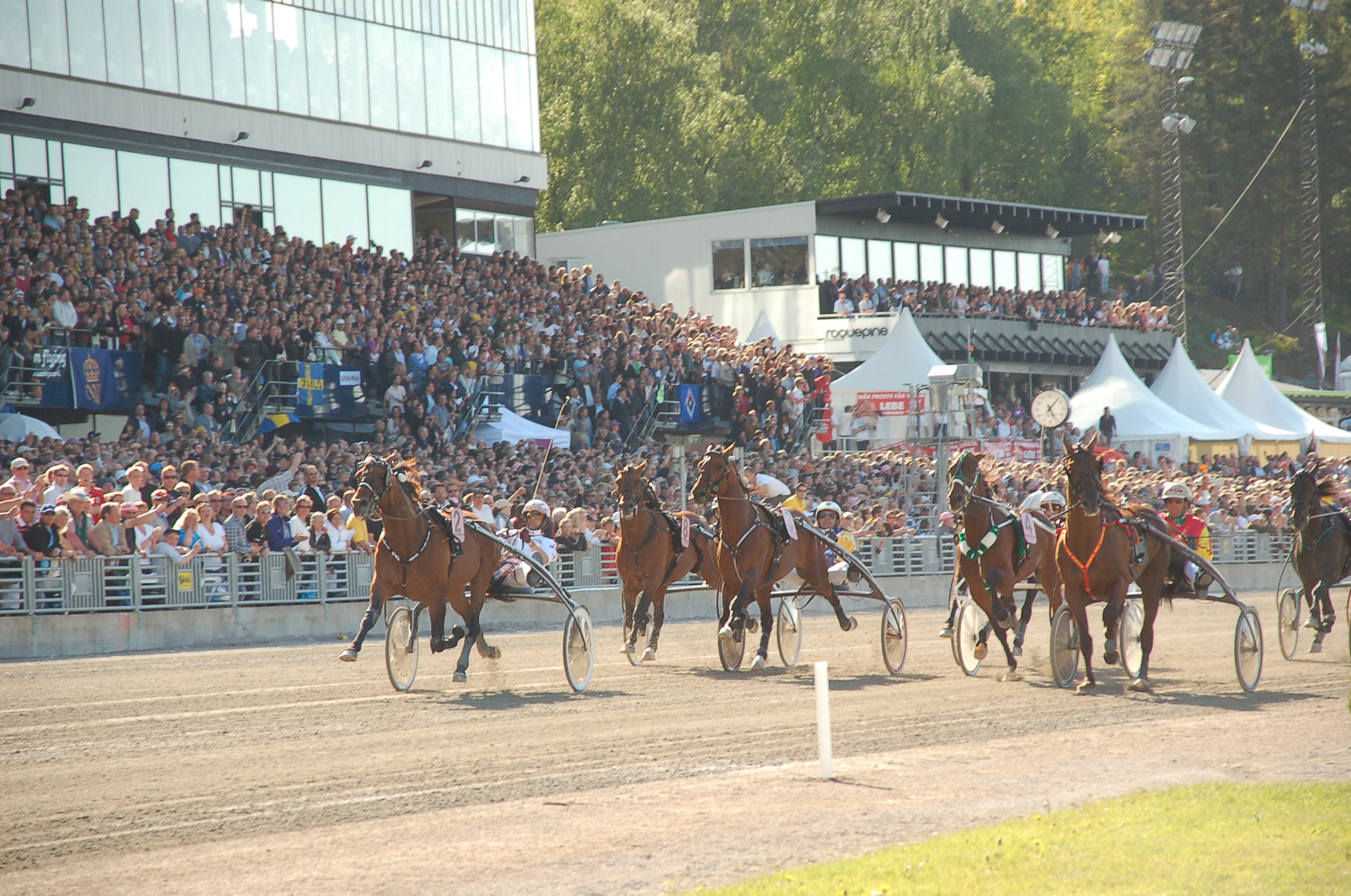 Einlauf Elitloppet 2008