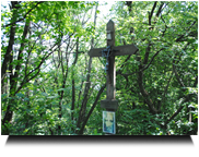 Sperkhermstein Kreuz Detail