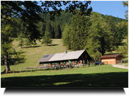 Kleinzeller Hinteralm