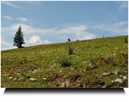 knapp vor den Gipfel