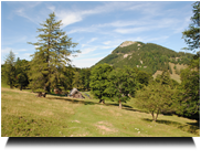 Hochstaff und Kleinzeller Hinteralm