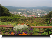 Blick auf Berndorf von der Gasthausterasse