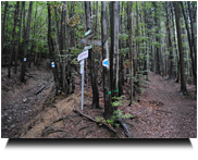 wir nehmen die rechte Route