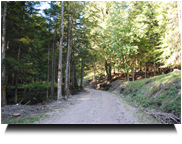 Aufstieg zum Gobenzsattel