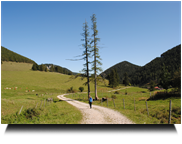 Richtung Öhlerschutzhaus