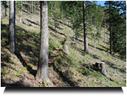 flott bergauf zum Öhlerschutzhaus