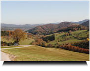 am Weg zurück nach Kaumberg