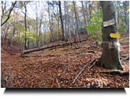 durch das größe Kiental 01