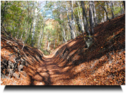 durch das größe Kiental 02