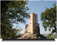 Burg Greifenstein