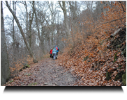 Waldweg 01