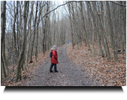 Waldweg 02 ,Hermi sorgt für ein bischen Farbe :-)