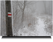 Schneefall beim Aufstieg