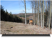 Hochstand am Aufstieg