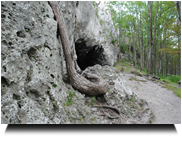 Arnsteinhöhle