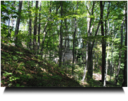 Rückweg nach Maria Reisenberg über Ruine Arnstein