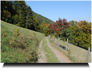 Rückweg nach Tiefenbach