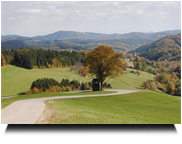 Rückweg Blick Richtung Kaumberg