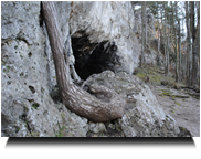 Arnsteinhöhle