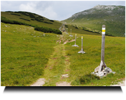 Schneemarkierungen Aufstieg zum Klosterwappen