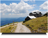 Zurück zum Ottohaus