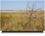 Lackenlandschaft