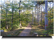 Rückweg ins Helenental