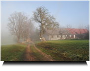 Sonne kommt durch den Nebel