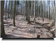 Aufstieg zum Troppberg