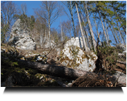 Abstieg vom Hausstein