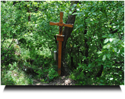 Waldläuferkreuz 01 (endlich gefunden)